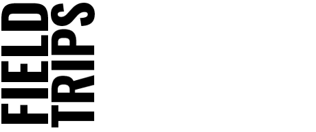 Field Trip School Flights